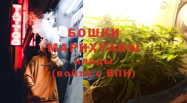 гидра Белокуриха