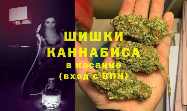 гидра Белокуриха
